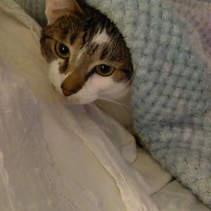 Meet your Posher, Jackie